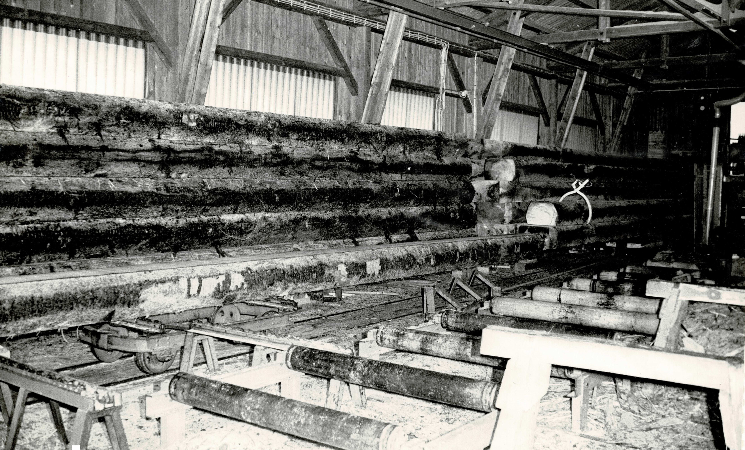 Baumstämme in Sägewerkshalle Suttner in Wenamühl Haselbach